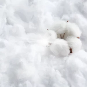 The Fineness of Fibers
